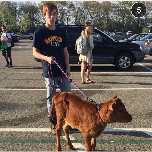 You're going to need a bigger leash.