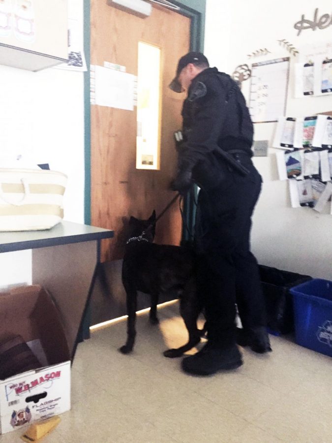 Dogs were brought into certain classes as part of the search by local law enforcement.