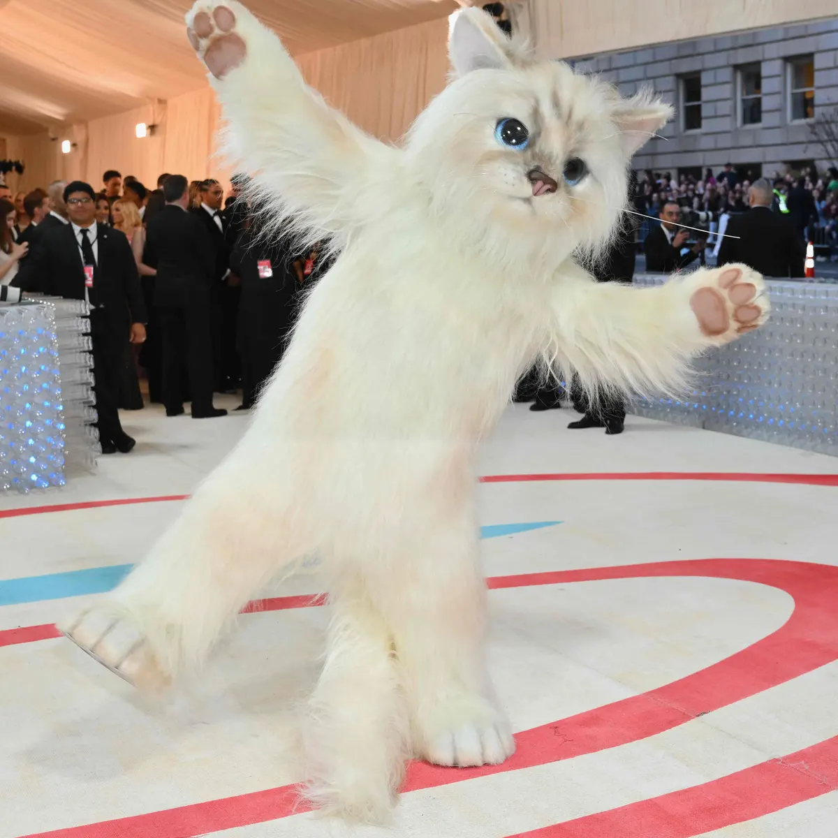 The Met Gala - The Spectrum